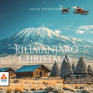 Christmas Kilimanjaro Mountain. Father christmas lying on sleigh pulled by reindeers