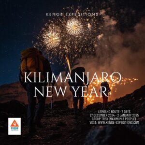 A vibrant New Year celebration with fireworks lighting up the night sky over the majestic Kilimanjaro mountain.